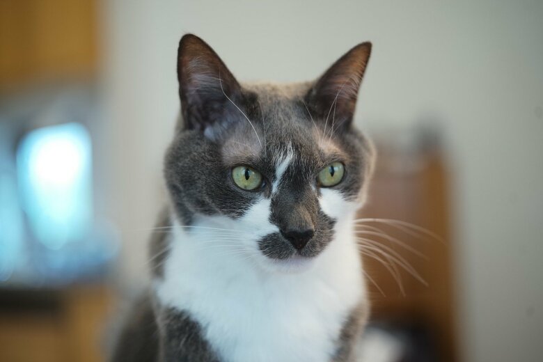 “どろぼうひげ”ことゆきくん