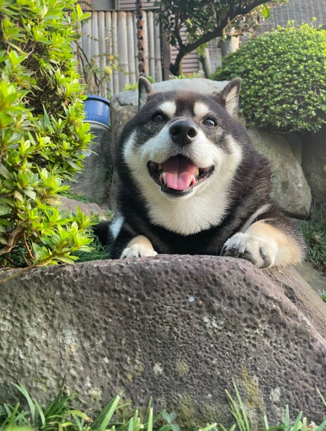 おやつを見つけてこの笑顔！