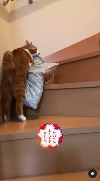 提供：赤瀬川和寿さん
