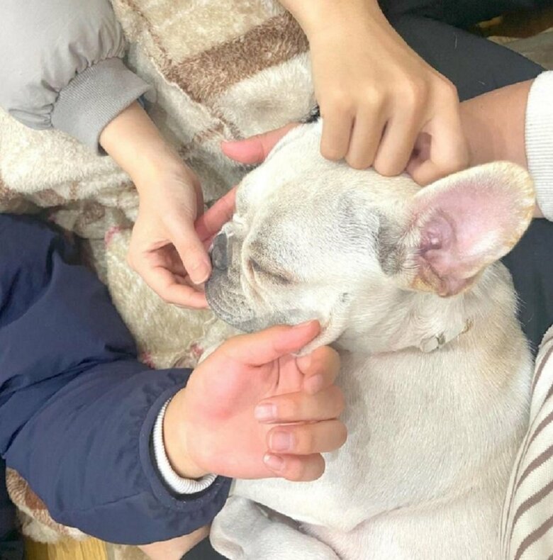 家族みんなと仲良し　みんなにモミモミされているブン太くん