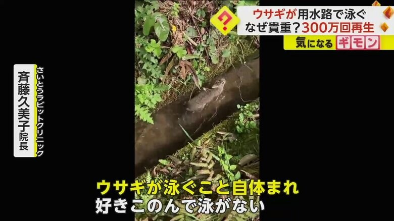 （ヒロさん撮影）