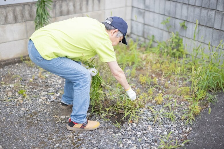 画像はイメージ