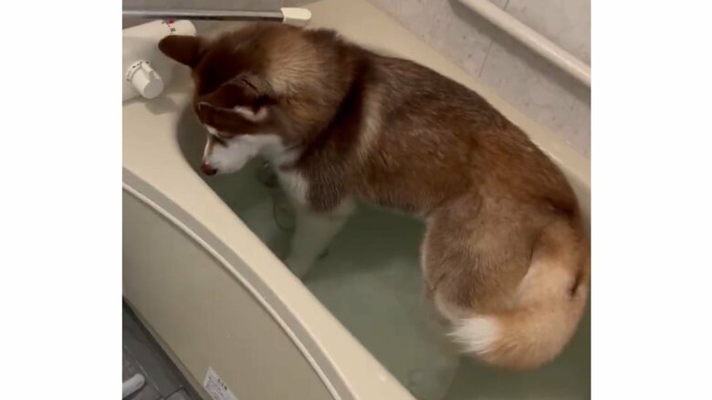 入浴が見つかったときの様子（1）視線をそらす