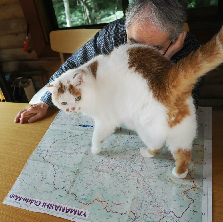 お父さんの顔の目の前にオシリを向けて…（提供：MARCOさん）