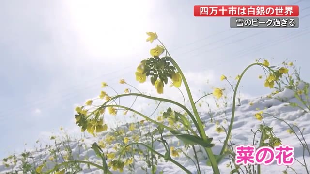 副業 の求人 高知県 四万十市 副業 の求人 高知県 四万十市