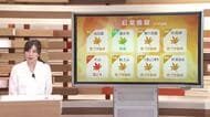 シーズン到来！紅葉狩りは31日がおすすめ　11月の気温は平年より高く「冬の訪れはゆっくり」と
