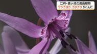 「サンカヨウ」「カタクリ」が大山地域に春の訪れ告げる　地域住民の保護で貴重な自然守る（鳥取）