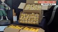 冬至のゆず湯に　高知市・姫若子の湯に「物部ゆず」贈呈　22日は先着300人にプレゼントも