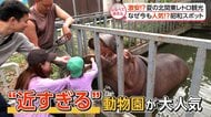 なぜ今も人気？夏の北関東レトロ観光【しらべてみたら】