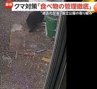 “餌付け”の反省から「GPS監視」「食べ物の管理徹底」で被害98％減少　「ヨセミテ国立公園」クマ対策の成功例