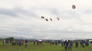 空高く上げた凧を絡ませ引き合う！子どもたちが凧合戦で熱い戦い 地域の伝統行事を次世代へ　新潟・三条市