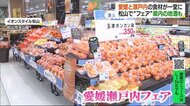 愛媛と瀬戸内の豊かな食材が一堂に 県内蔵元自慢の酒も 「愛媛瀬戸内フェア」30日まで【愛媛】