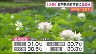 二十四節気『大暑』 県内午前中すでに真夏日【佐賀県】