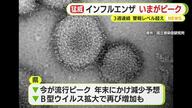 インフルエンザ”いまがピーク”　3週連続で警報レベル　依然として猛威　20歳未満が全体の8割　B型ウイルスが増　年明け以降に再び増える可能性も
