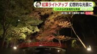 森町・小國神社も紅葉見頃に　ライトアップで幻想的な光景に　【静岡・ただいま天気　11/27】