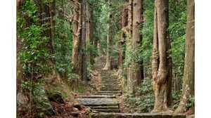 和歌山県熊野が1位に! 2020年外国人が訪れるべき日本の観光地ランキング発表