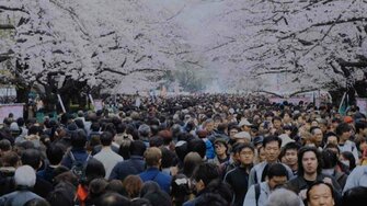 コロナ禍でも「変わらぬもの」 92歳の写真家が見た上野公園の桜