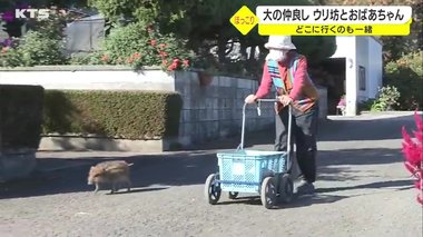 母親だと思ってる!? “ウリ坊”とおばあちゃんは仲良しでどこに行くのも一緒