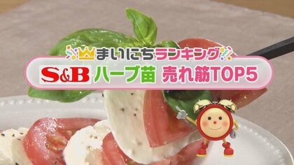 エスビー食品の“ハーブ苗”売れ筋TOP5をオススメ料理と共に紹介！　1位はトマトと相性抜群