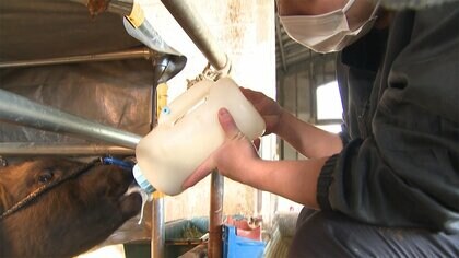 「改めて牛が好き」口蹄疫の教訓を胸に…牛づくりの未来を担う農業大学生の思い【宮崎発】