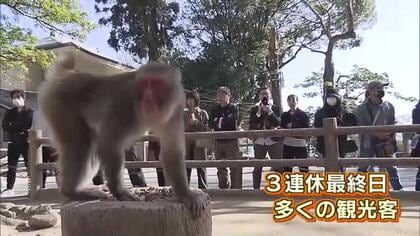 3連休最終日　大分県内の行楽地はにぎわい　野生のサルの餌付けで知られる大分市の高崎山にも多くの観光客