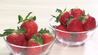 超高級いちご＆限定スイーツも！1月15日＝「いちごの日」に合わせて大丸札幌店で「ほっぺタウンのいちご狩り」開催―いちごの甘酸っぱさでホッコリ