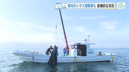 広島県内『シラス漁』解禁も、危機的な状況　重油価格上昇など悪化する中東情勢が追い打ち