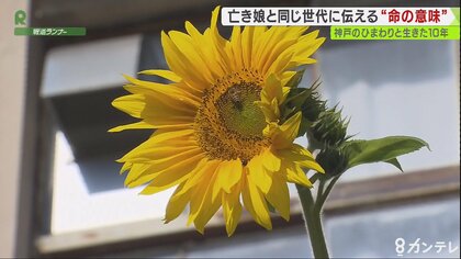 震災で妻と子失った自衛官を支えたひまわり　亡き娘と同世代へ伝える命の意味