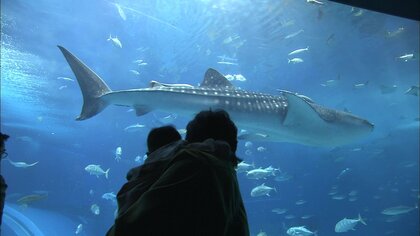 時代によって変遷してきた沖縄の観光…慰霊訪問からリゾート地へ　今後は「安心・安全」が最優先
