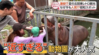 なぜ今も人気？夏の北関東レトロ観光【しらべてみたら】