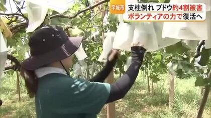 熊本地震で農水産業に８４１億円被害　逆境の中でも前を向く生産者　【令和８年熊本地震】