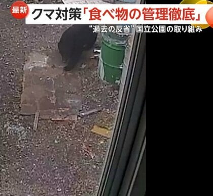 “餌付け”の反省から「GPS監視」「食べ物の管理徹底」で被害98％減少　「ヨセミテ国立公園」クマ対策の成功例