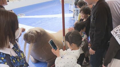 2026年ゴールデンウィークスタート 昭和の町では7年ぶりの「ちゃぶ台
