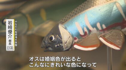 中学1年の“さかなクン” 最年少の水族館長に “不思議の海”も紹介 「子供