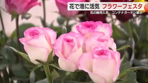 花で港に活気を　フラワーフェスタ清水港で開催　安く提供される花の販売が人気　コンテナガーデンも展示
