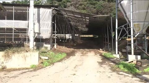 福島県内でクマの人的被害相次ぐ　大玉村の農場と会津美里町の山道で男性２人が襲われケガ