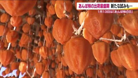 新幹線で東京へ…1月13日は「伊達のあんぽ柿の日」首都圏にPR　道の駅ではカプセルトイにあんぽ柿登場