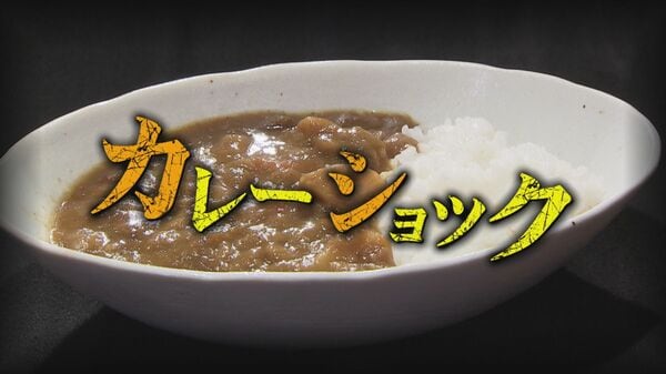 2025年は『1食349円』 カレーライスにみる物価高 10年で4割アップ コメ