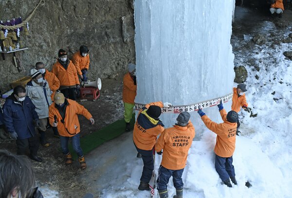 極寒の岩手に 巨大氷柱 たろし滝 が出現 円周で作柄を占う 6ｍ超の2021年は豊作