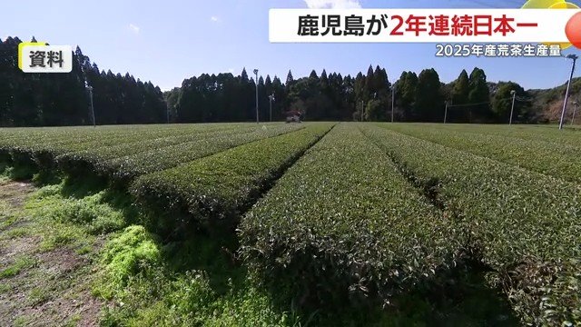 2年連続日本一・鹿児島茶が示す“量と信頼”