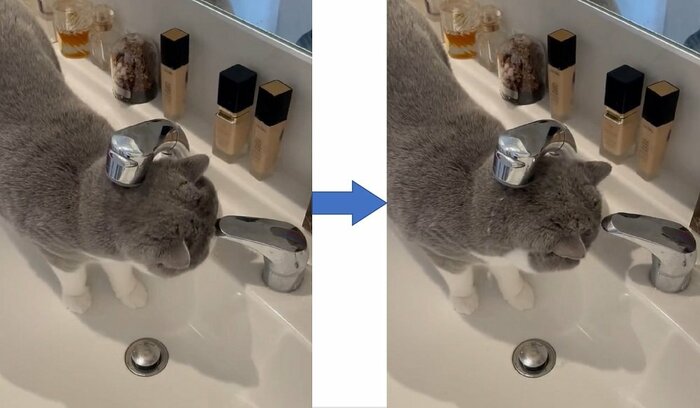 レバーを頭突き。チョロリと水が出た(提供:八海山くんの飼い主さんTwitterアカウント)