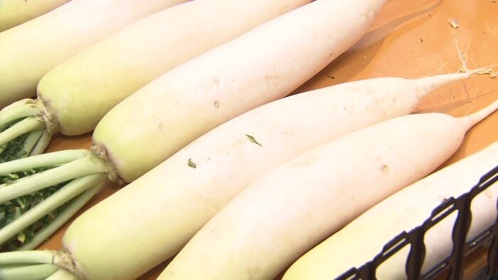 ダイコンも今が買い時