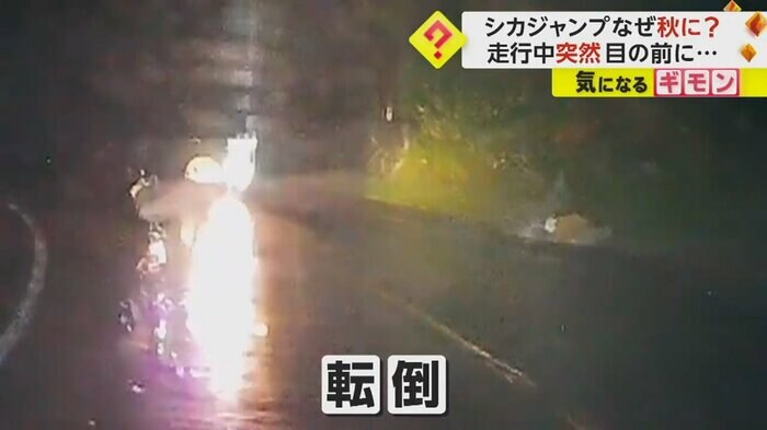 (FNN投稿サイト「ビデオPost」)