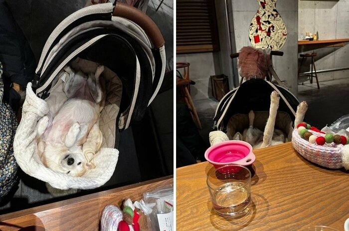 カフェで寝ちゃった時のなずなちゃん。バギーから足だけがピーン!