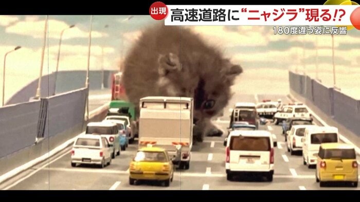 怪獣のように道路を進むココアくん(提供:nekozuki5281@TAKA)