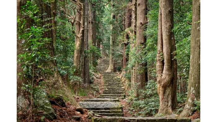 和歌山県熊野が1位に! 2020年外国人が訪れるべき日本の観光地ランキング発表