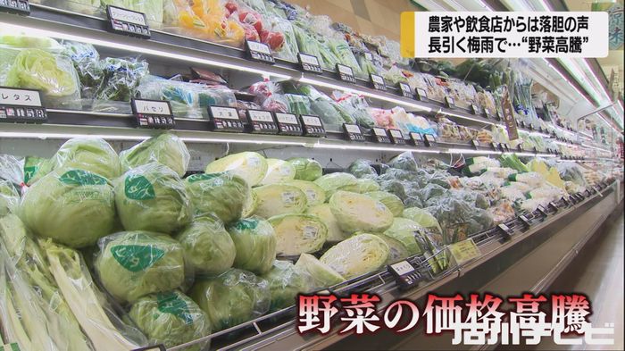 ほうれん草“1袋258円”…長雨で野菜が高騰 ジャガイモ畑では「収穫期に掘ったら腐ってた…」