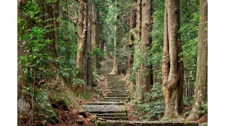 和歌山県熊野が１位に！ 2020年外国人が訪れるべき日本の観光地ランキング発表｜FNNプライムオンライン