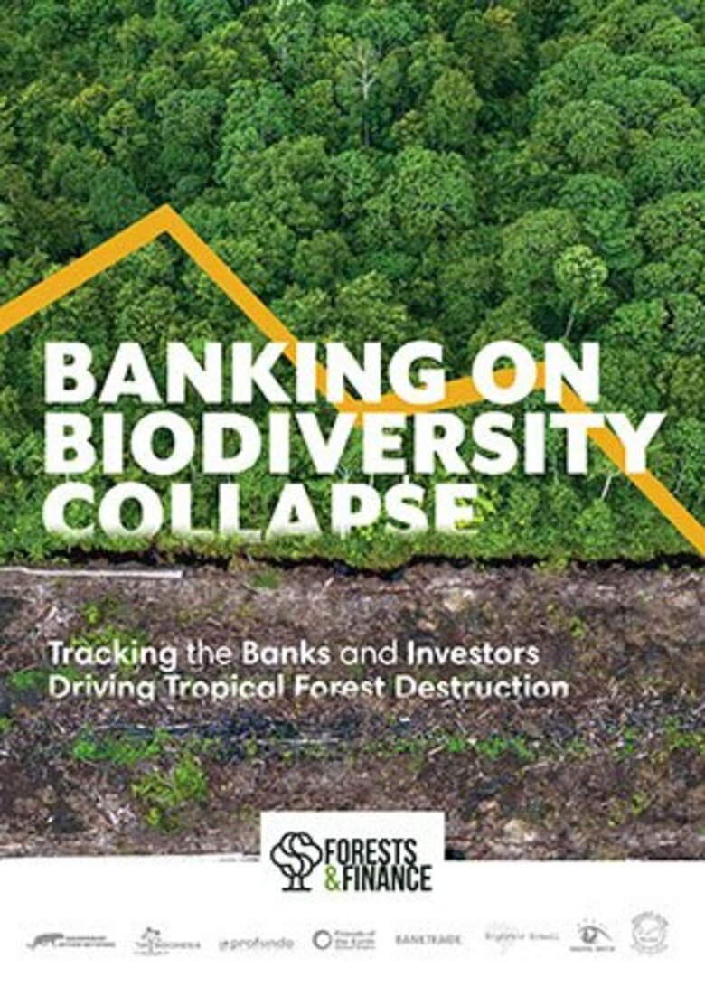 RAN新報告書「生物多様性崩壊をもたらす金融業務」発表