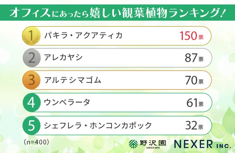 【働く男女に調査】オフィスにあったら嬉しい観葉植物ランキング！